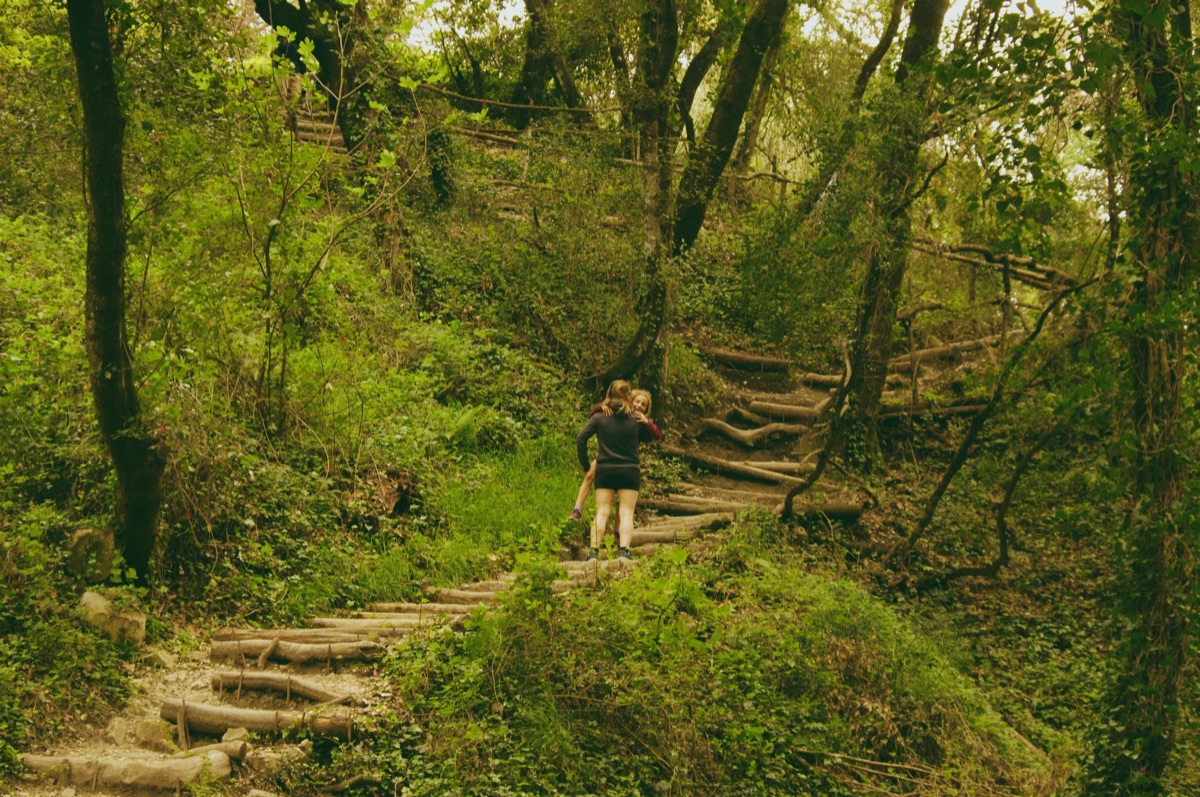 familia caminando en bosque tropical
