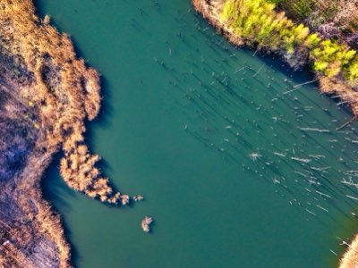 Luna de Miel Fiji: 80% Aventura o 100% Paz, ¿Dónde Estar?
