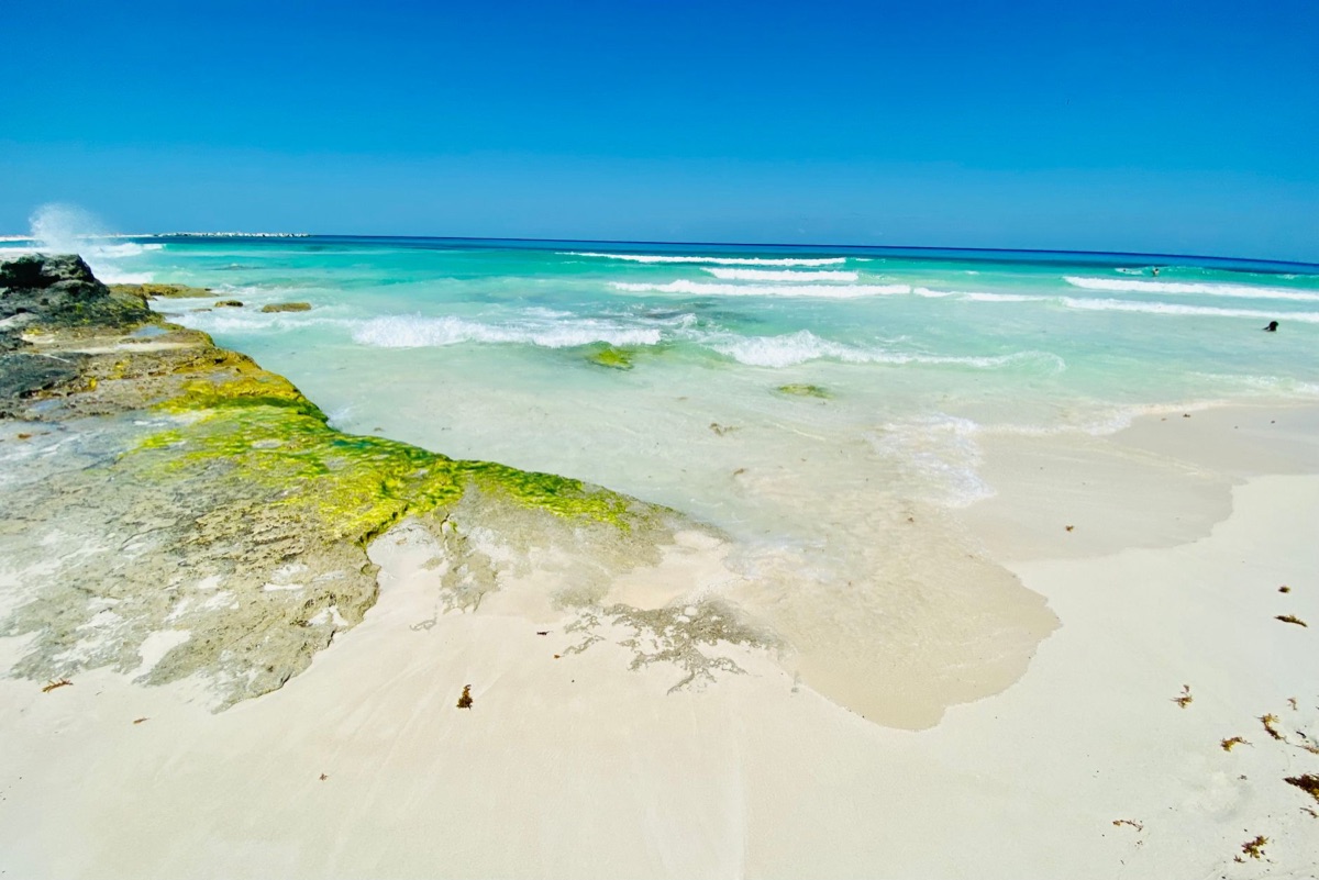 una spiaggia bianca con acqua turquesca