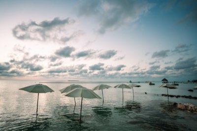 Fidji : 200 resorts comparés pour trouver votre cocon parfait