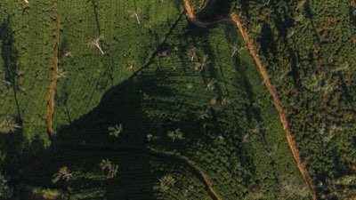 Fidji : 5 étapes pour vivre une immersion authentique et profonde