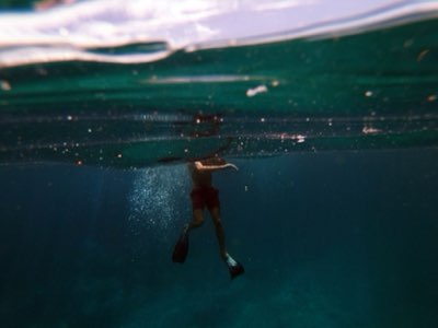 フィジーの海で体験！初心者からサメダイビングまで最高の旅