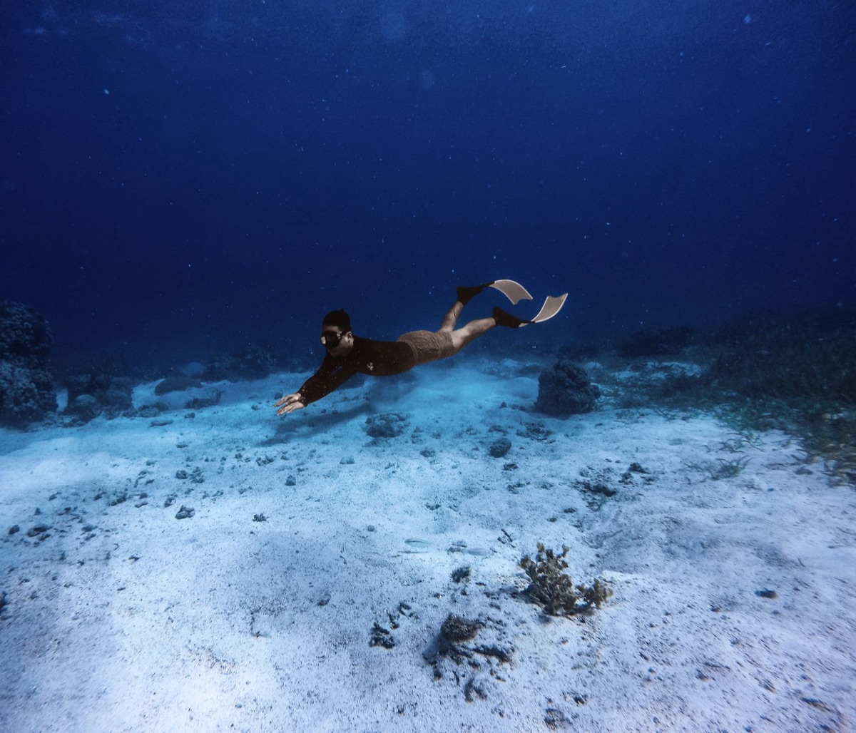 浮游生物與魚類的近景特寫