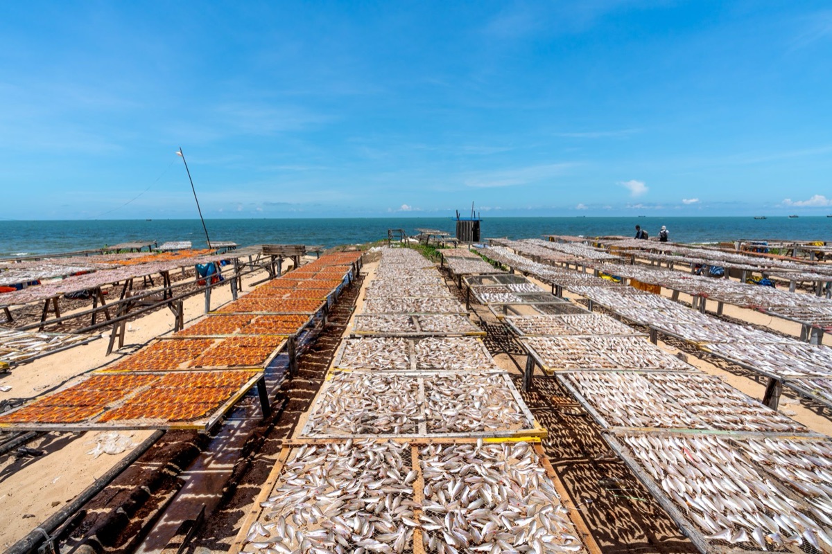 equipamento de pesca na areia de fiji