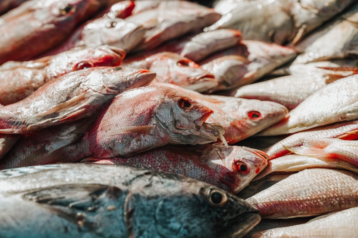 フィジの現地食材に感じる食の豊かさ