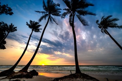 Fiji: Guía para fotos familiares inolvidables en el paraíso