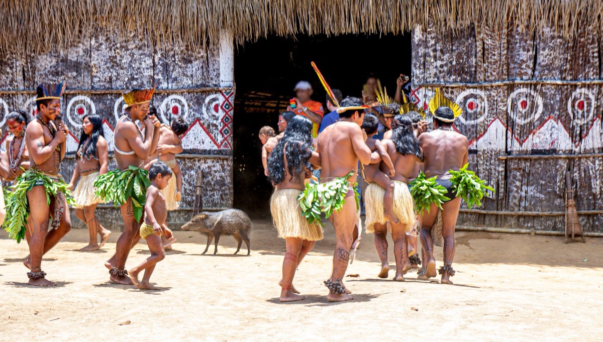 cerimônia tradicional fijiana