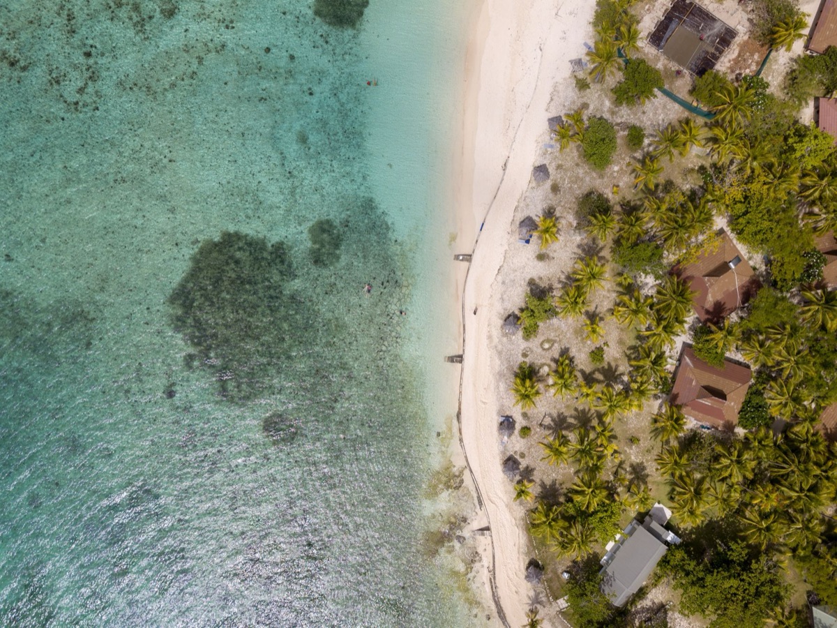 fiji village with traditional houses