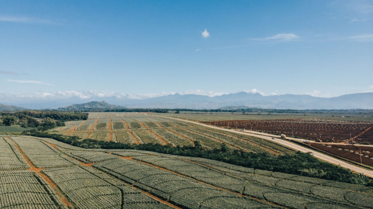 centro de investigación agrícola en fiji