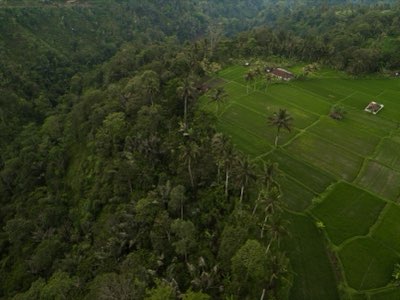 Fiji: Allocazione risorse R&D, bilanciare cibo e scienza pura