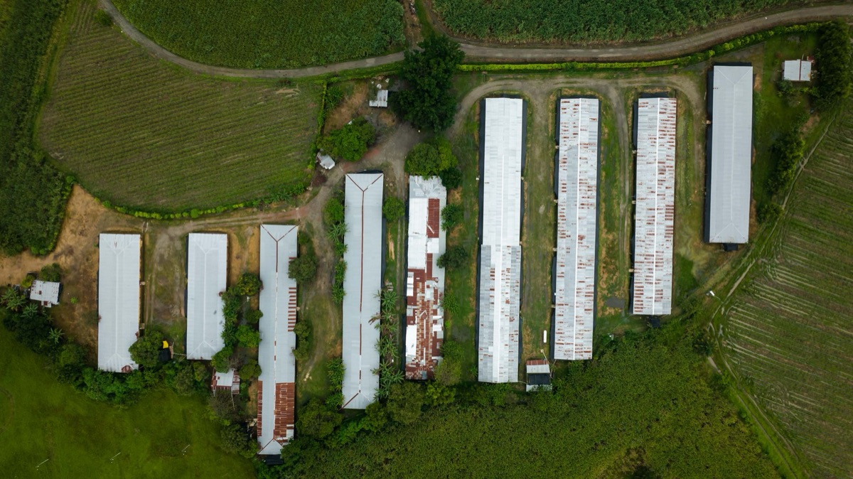 Un centro di ricerca agricola in Fidji
