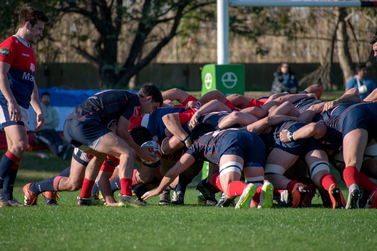 camisa de clube de rugby