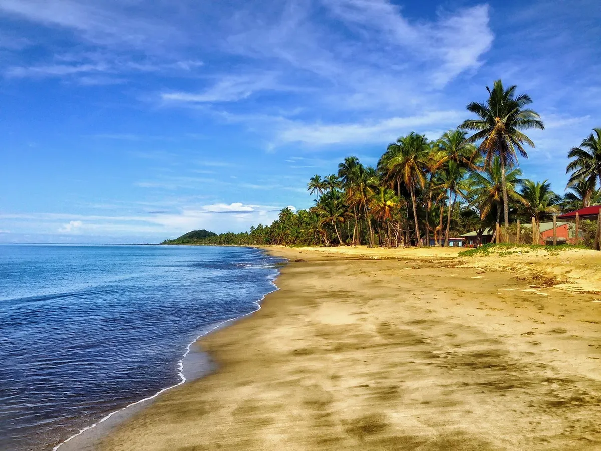 beach, sand, palm trees, tropical beach, sea, ocean, coast, coastline, shore, seashore, scenery, nature, outdoors, fiji, beach, beach, beach, beach, beach, fiji