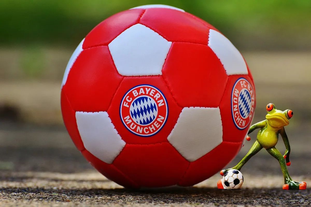 bayern munich, frog, football club, bavaria, soccer, bavaria munich, stadium, allianz arena, fun, bayern munich, bayern munich, bayern munich, soccer, soccer, s
